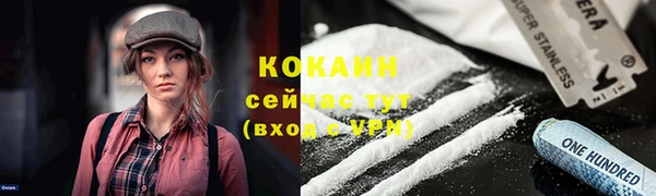 крисы Абдулино
