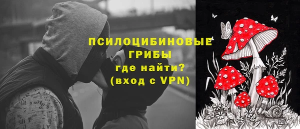 амф Абаза